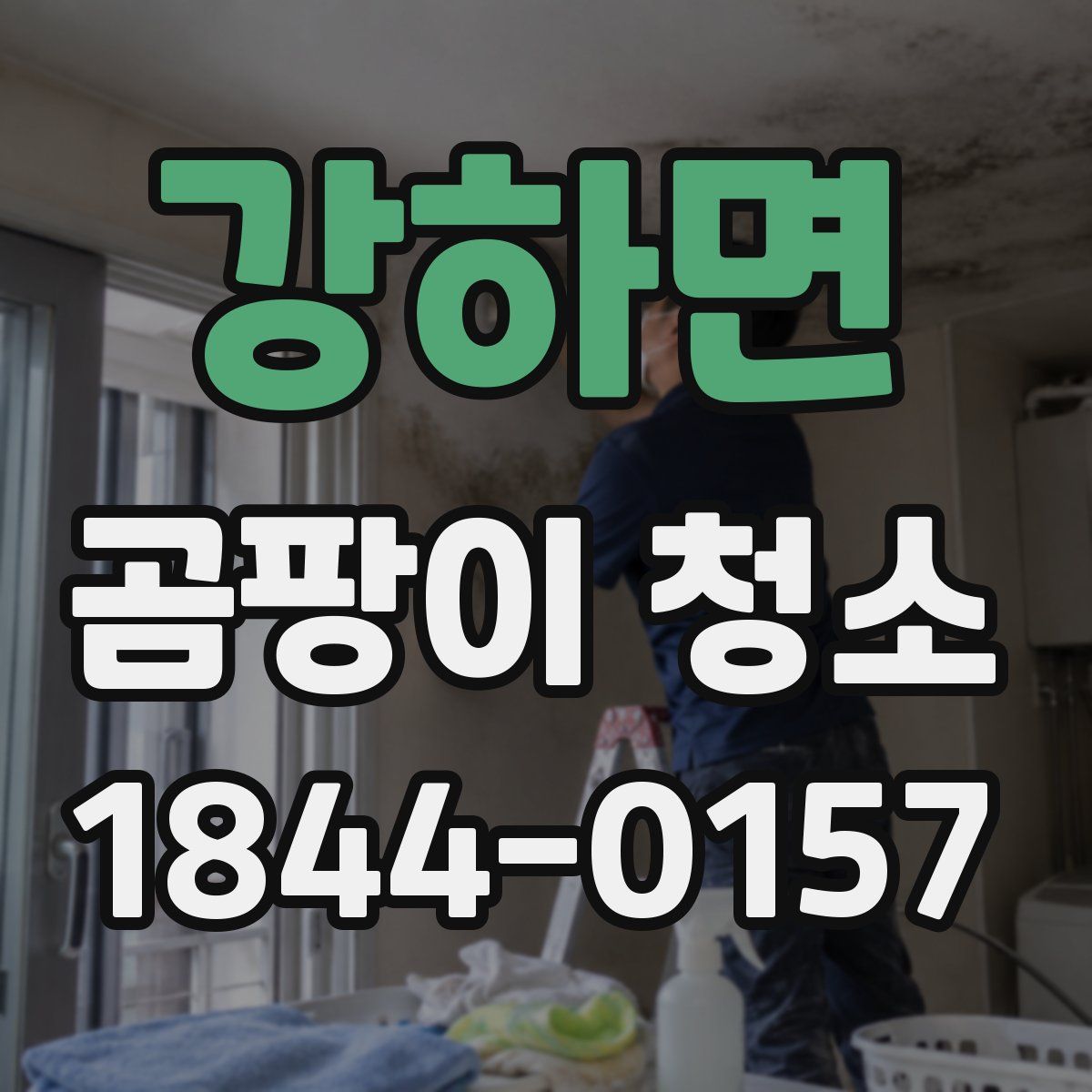 강하면 곰팡이 청소