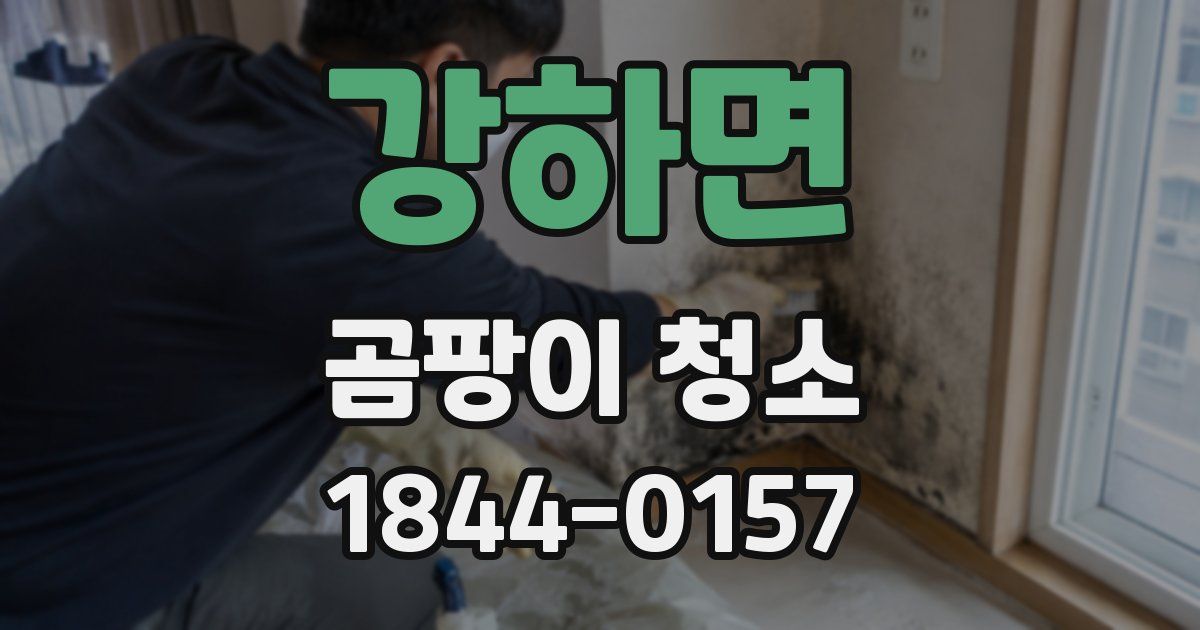 강하면 곰팡이 청소