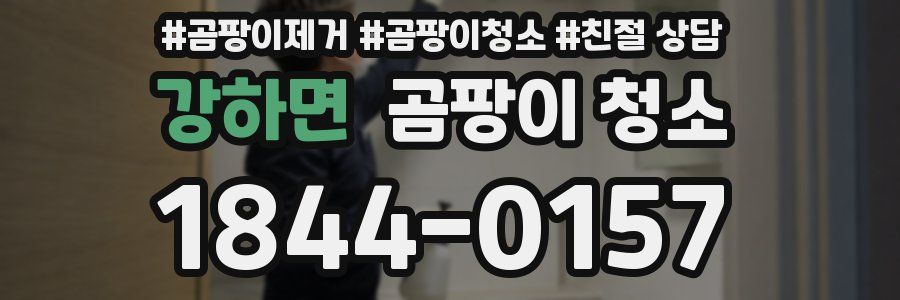 강하면 곰팡이 청소