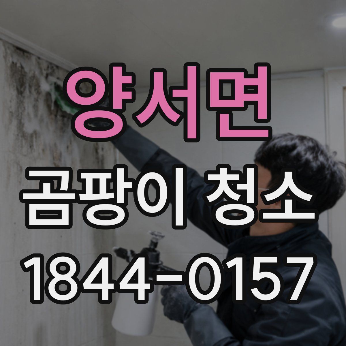 양서면 곰팡이 청소