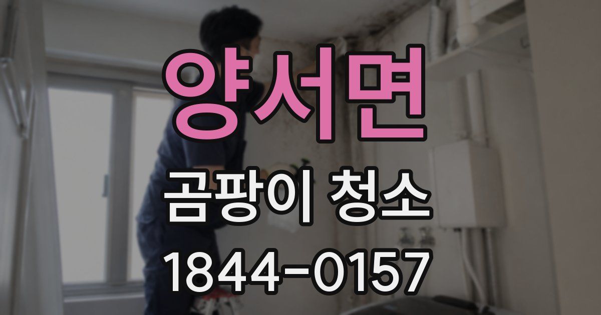 양서면 곰팡이 청소