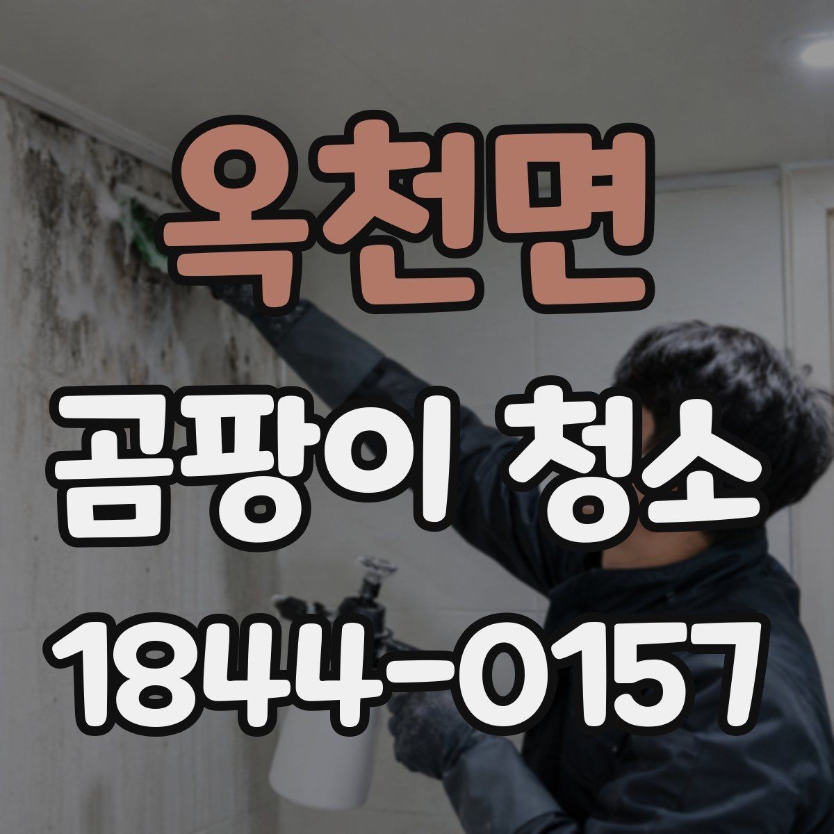 옥천면 곰팡이 청소 후 벽면 상태를 확인하는 방법