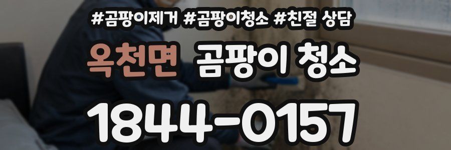 옥천면 곰팡이 청소