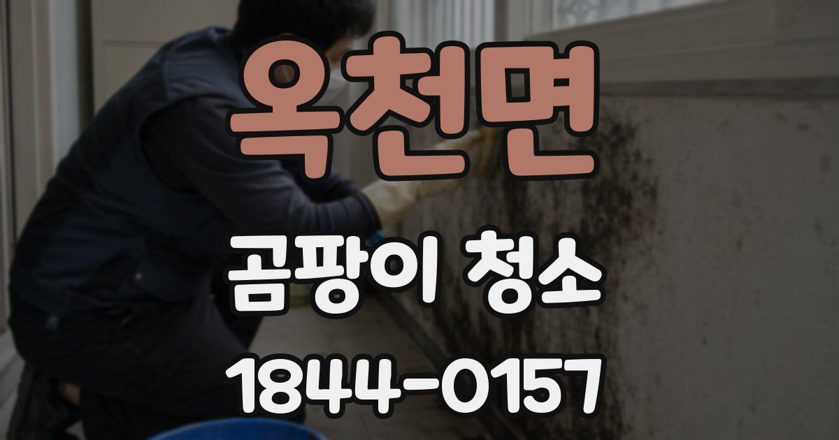옥천면 곰팡이 청소