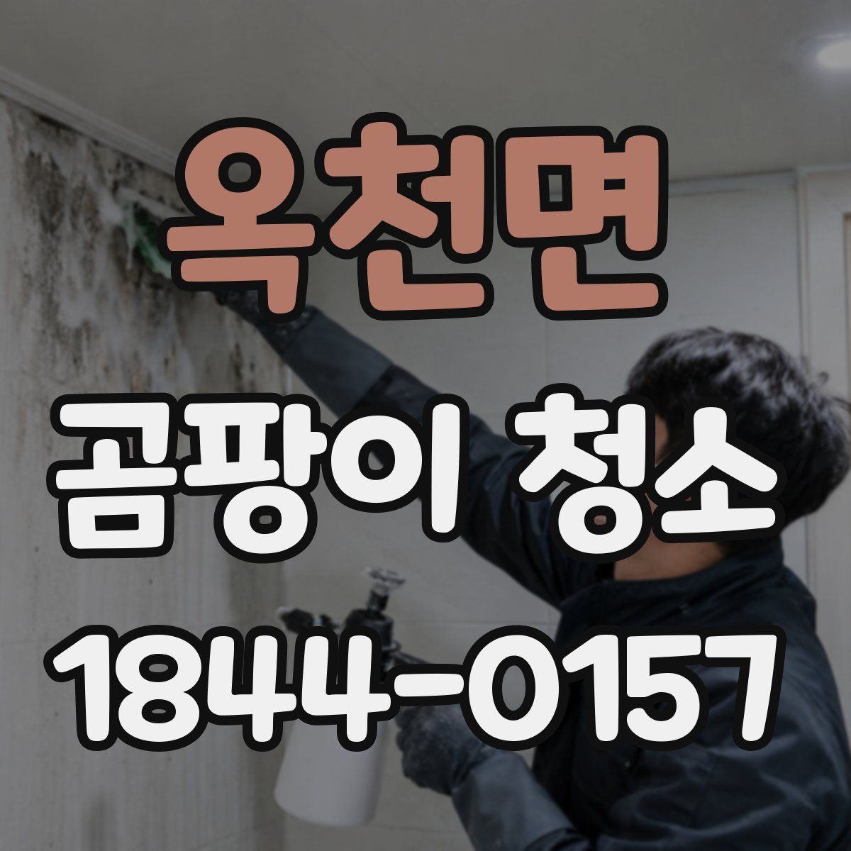옥천면 곰팡이 청소