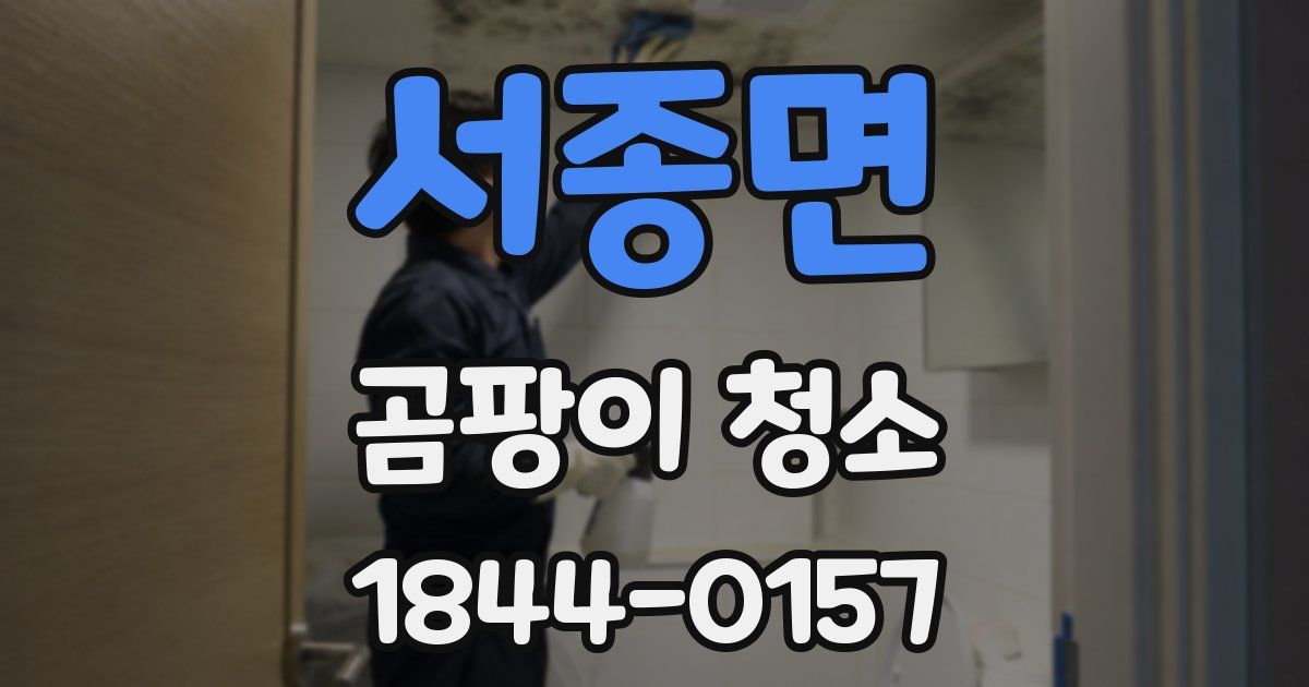 서종면 곰팡이 청소