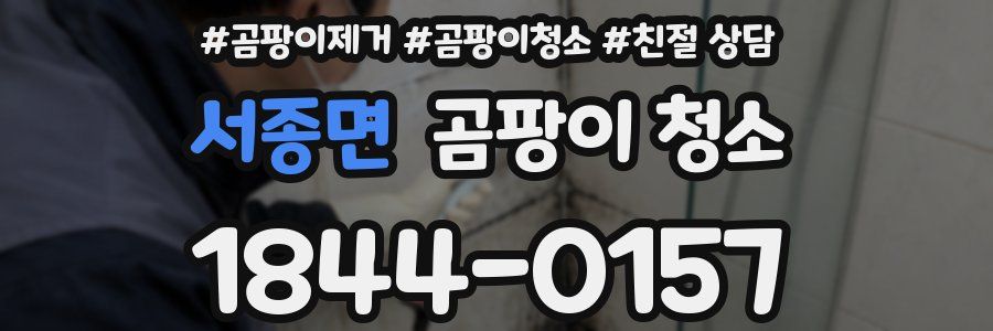 서종면 곰팡이 청소