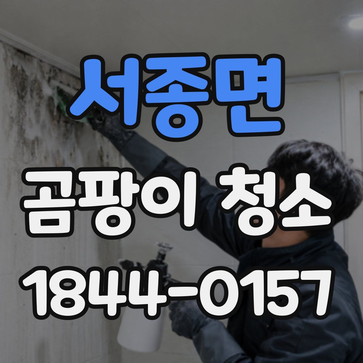 서종면 곰팡이 청소