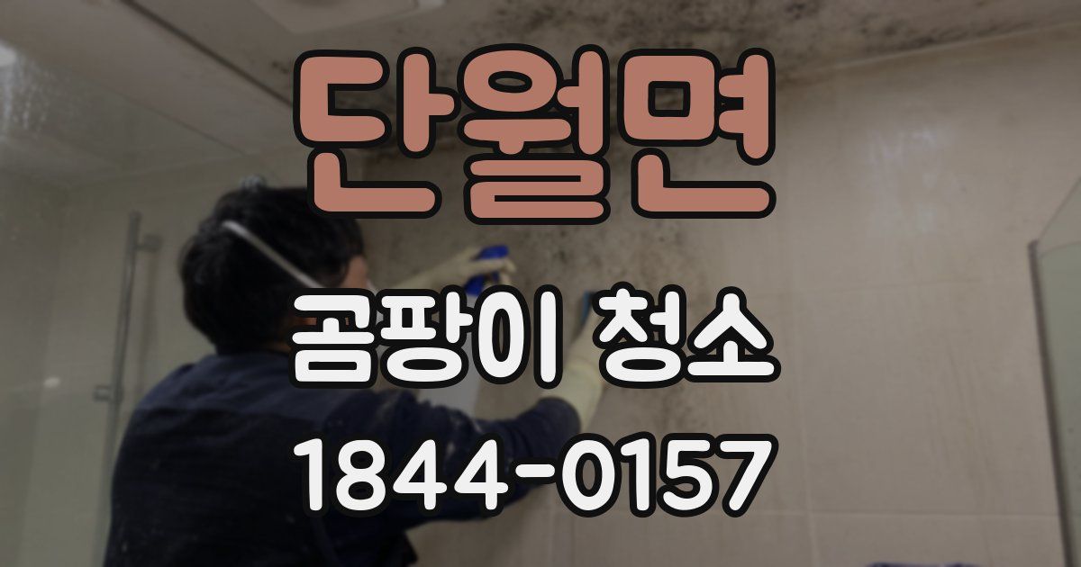 단월면 곰팡이 청소