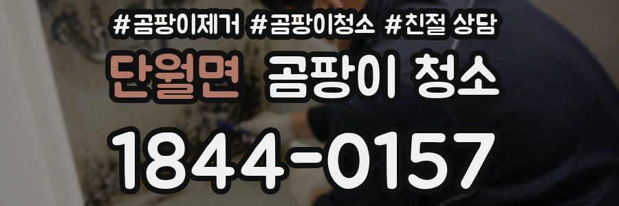단월면 곰팡이 청소