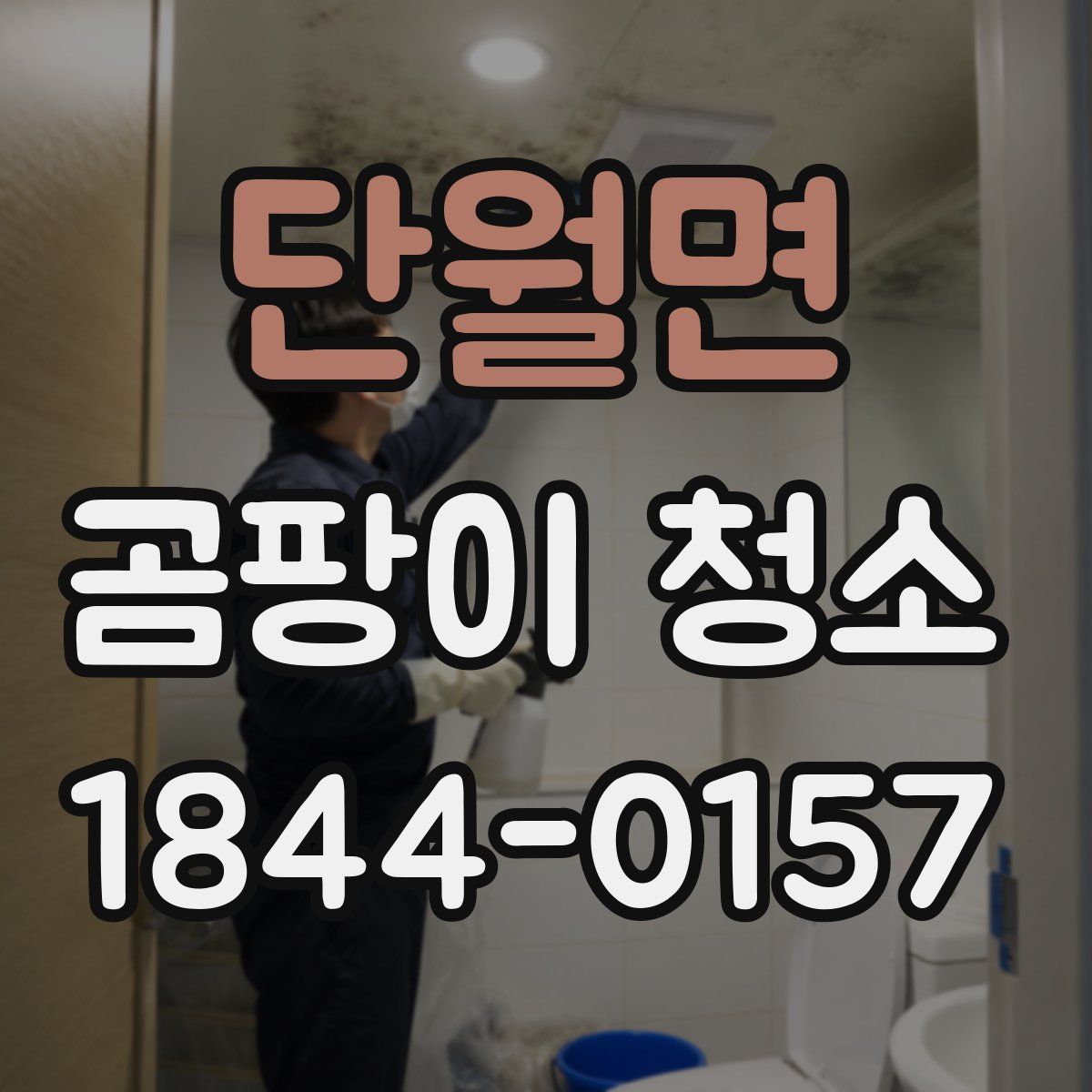 단월면 곰팡이 청소