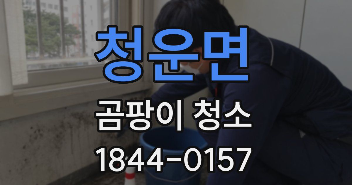 청운면 곰팡이 청소