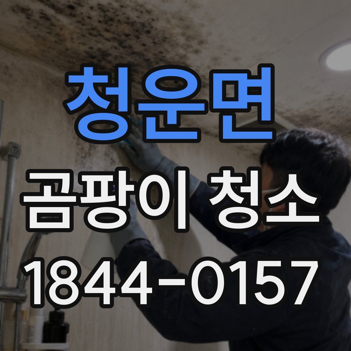 청운면 곰팡이 청소