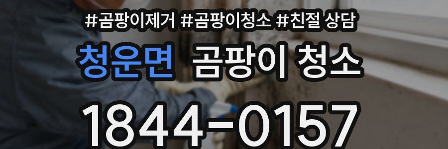 청운면 곰팡이 청소