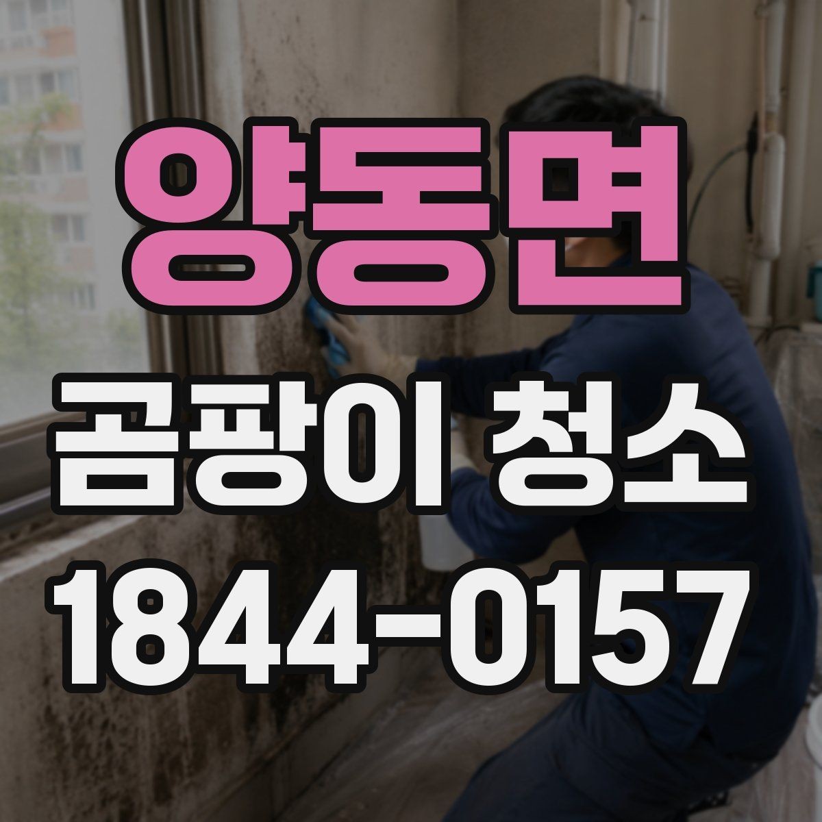 양동면 곰팡이 청소 후 마르는 시간과 주의사항