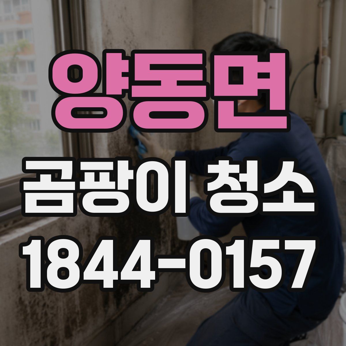 양동면 곰팡이 청소