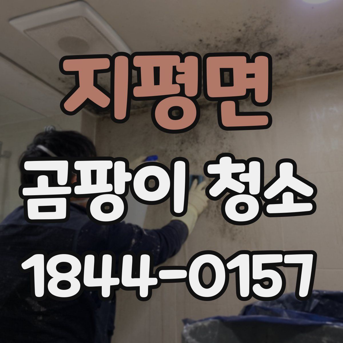 지평면 곰팡이 청소