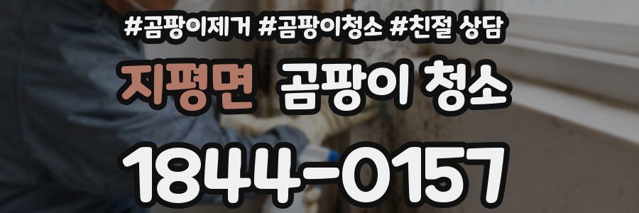 지평면 곰팡이 청소