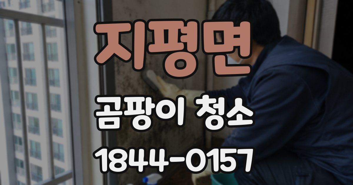 지평면 곰팡이 청소