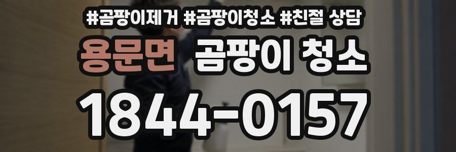 용문면 곰팡이 청소