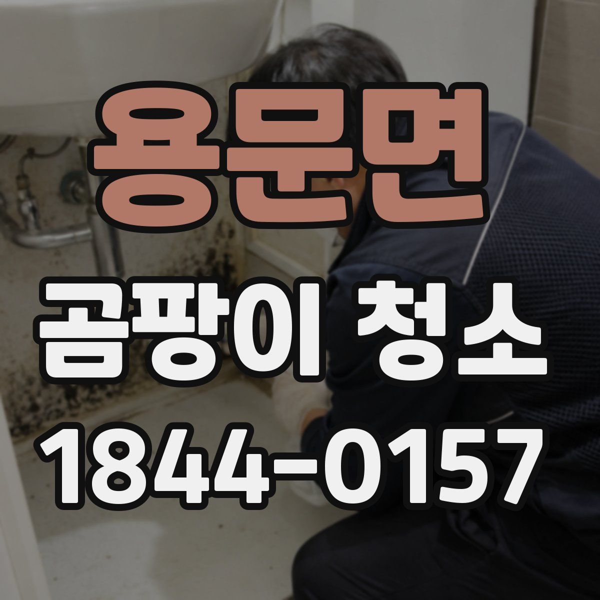 용문면 곰팡이 청소