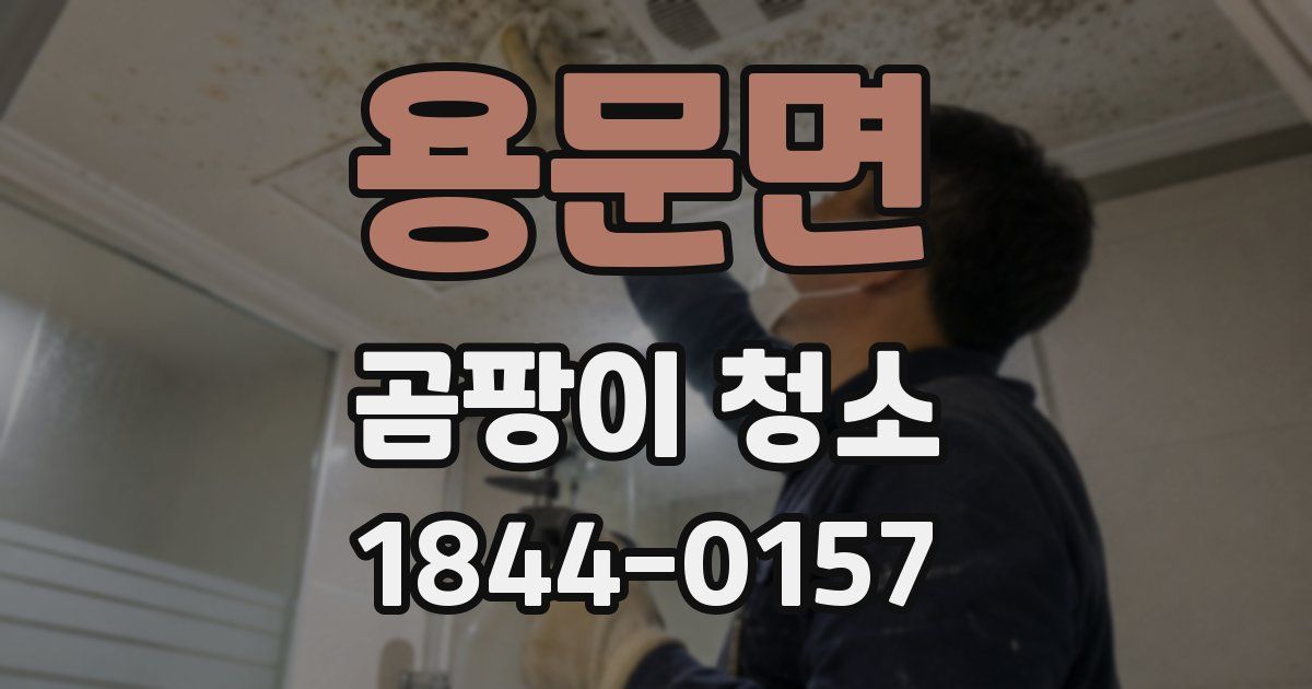 용문면 곰팡이 청소