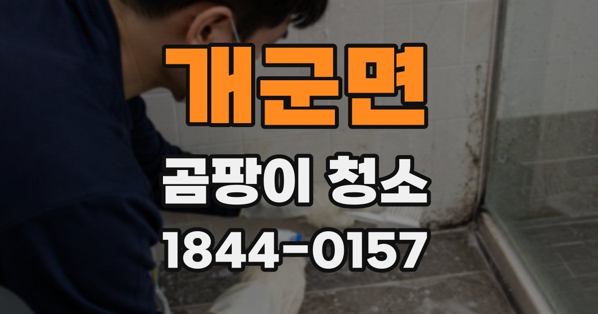 개군면 곰팡이 청소