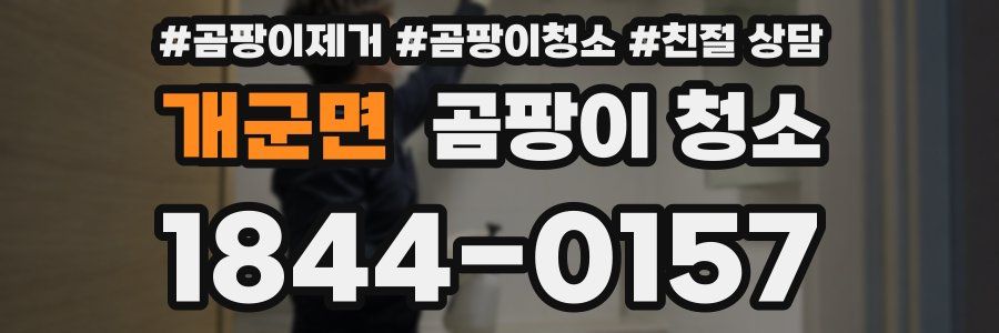 개군면 곰팡이 청소