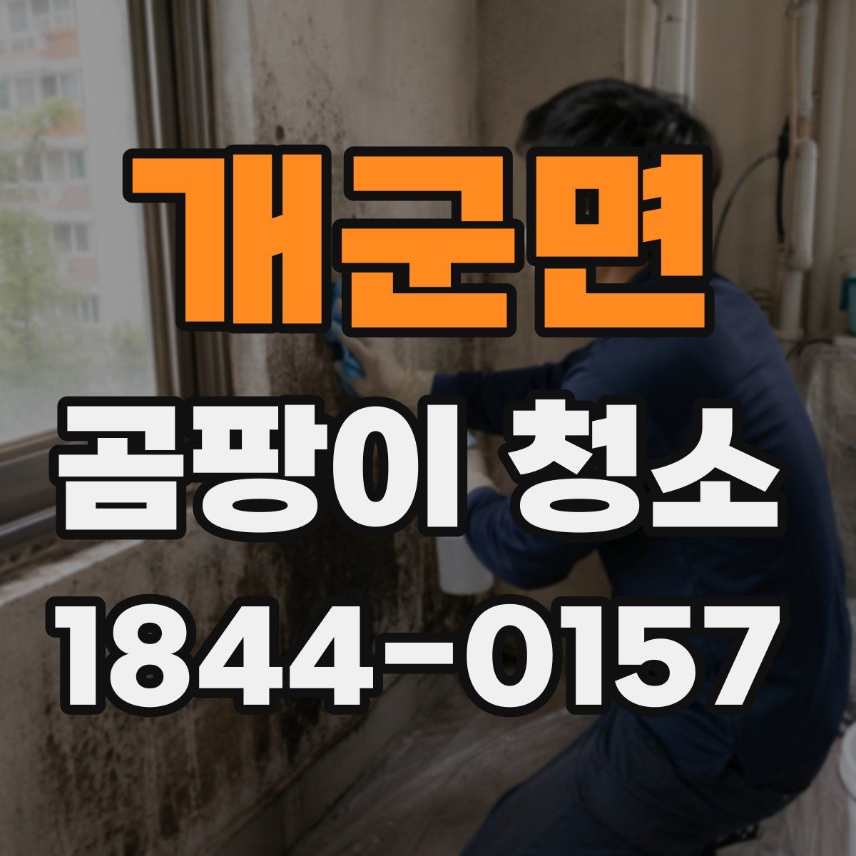 개군면 곰팡이 청소