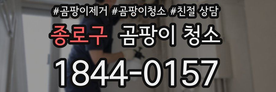 종로구 곰팡이 청소