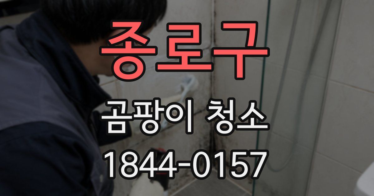 종로구 곰팡이 청소