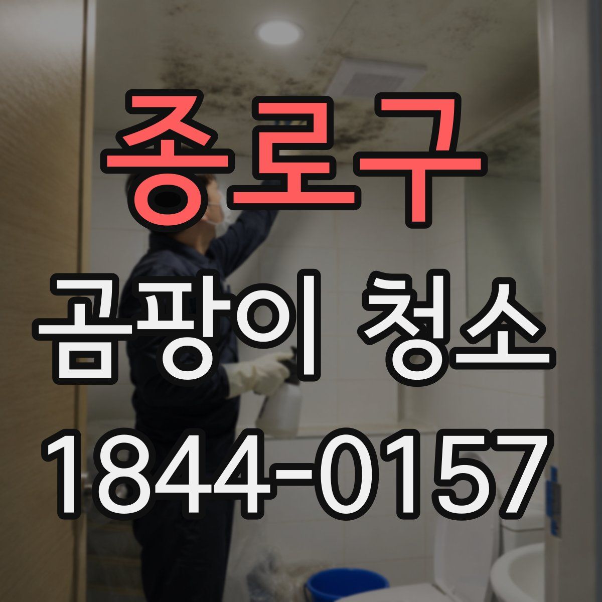 종로구 곰팡이 청소