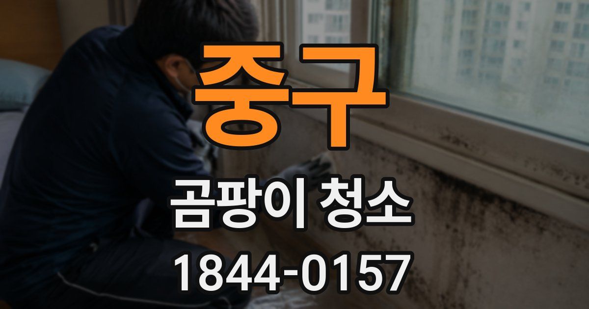 중구 곰팡이 청소