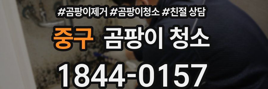 중구 곰팡이 청소