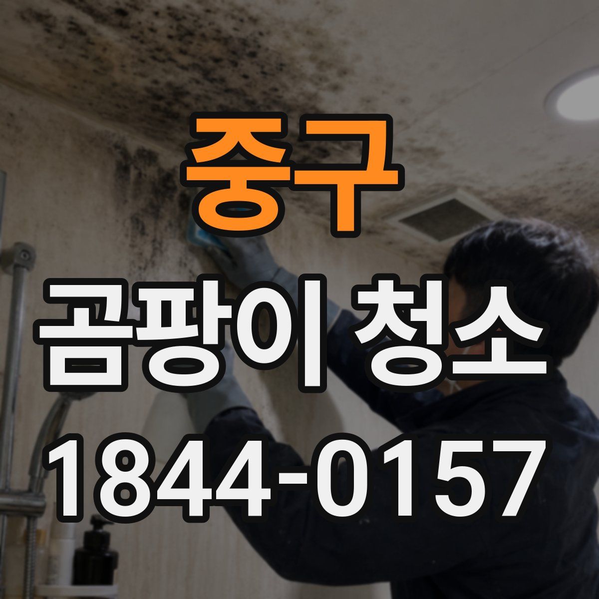 중구 곰팡이 청소