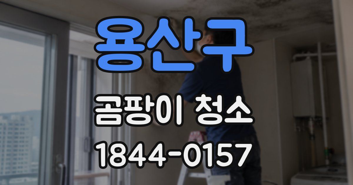 용산구 곰팡이 청소