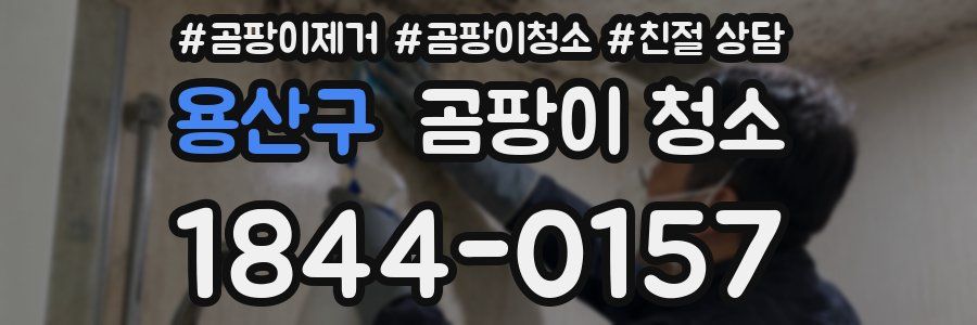 용산구 곰팡이 청소