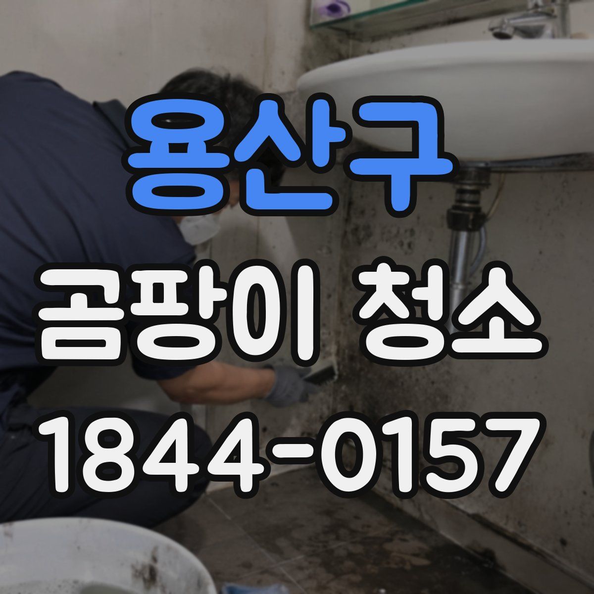 용산구 곰팡이 청소