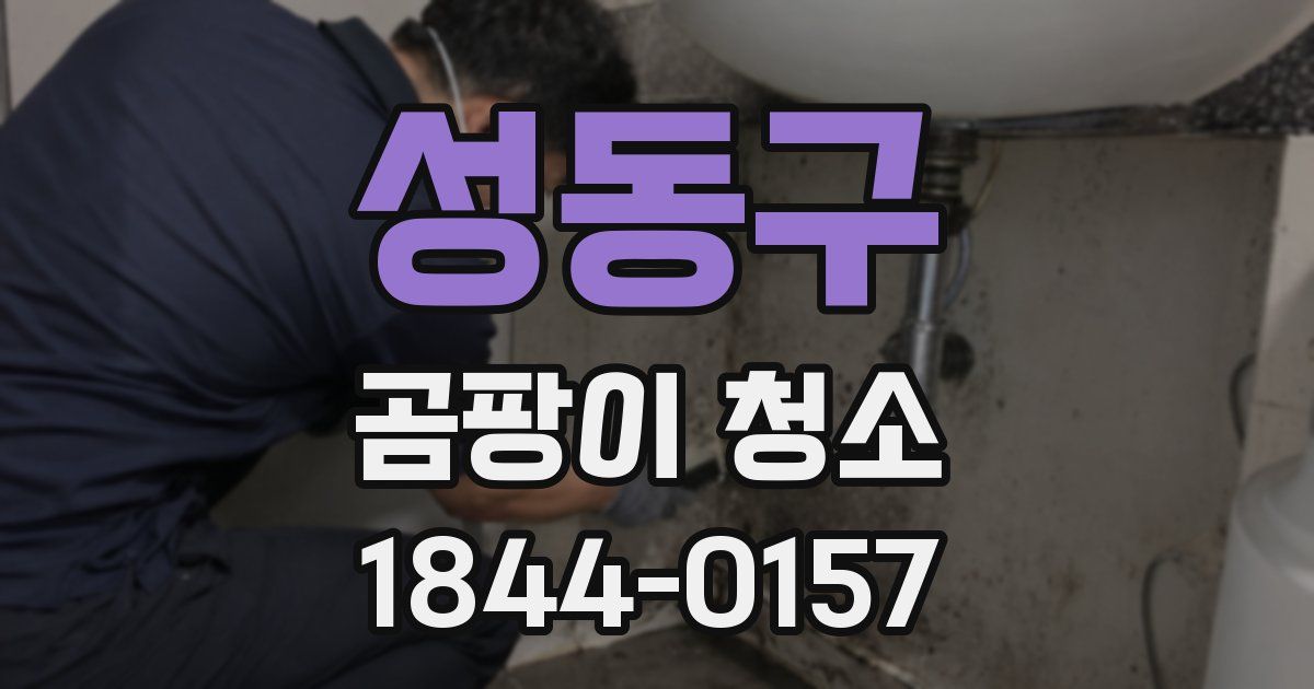성동구 곰팡이 청소