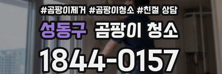 성동구 곰팡이 청소