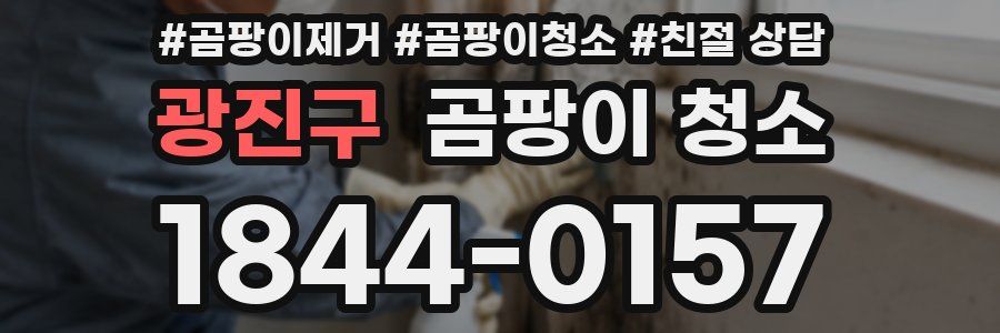 광진구 곰팡이 청소