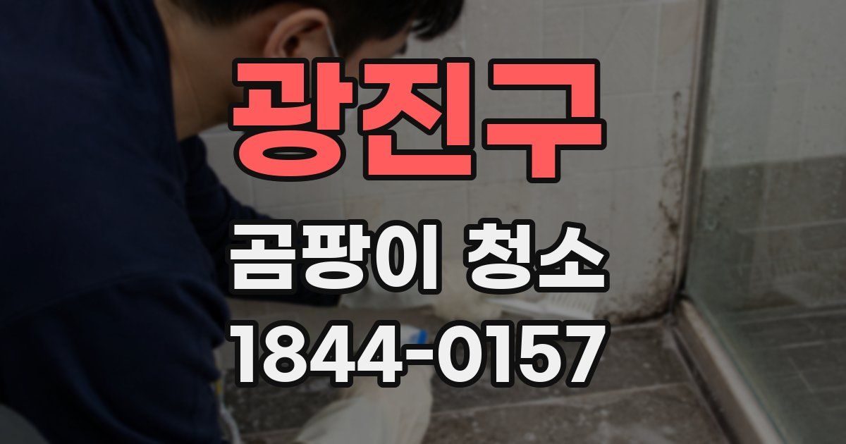 광진구 곰팡이 청소