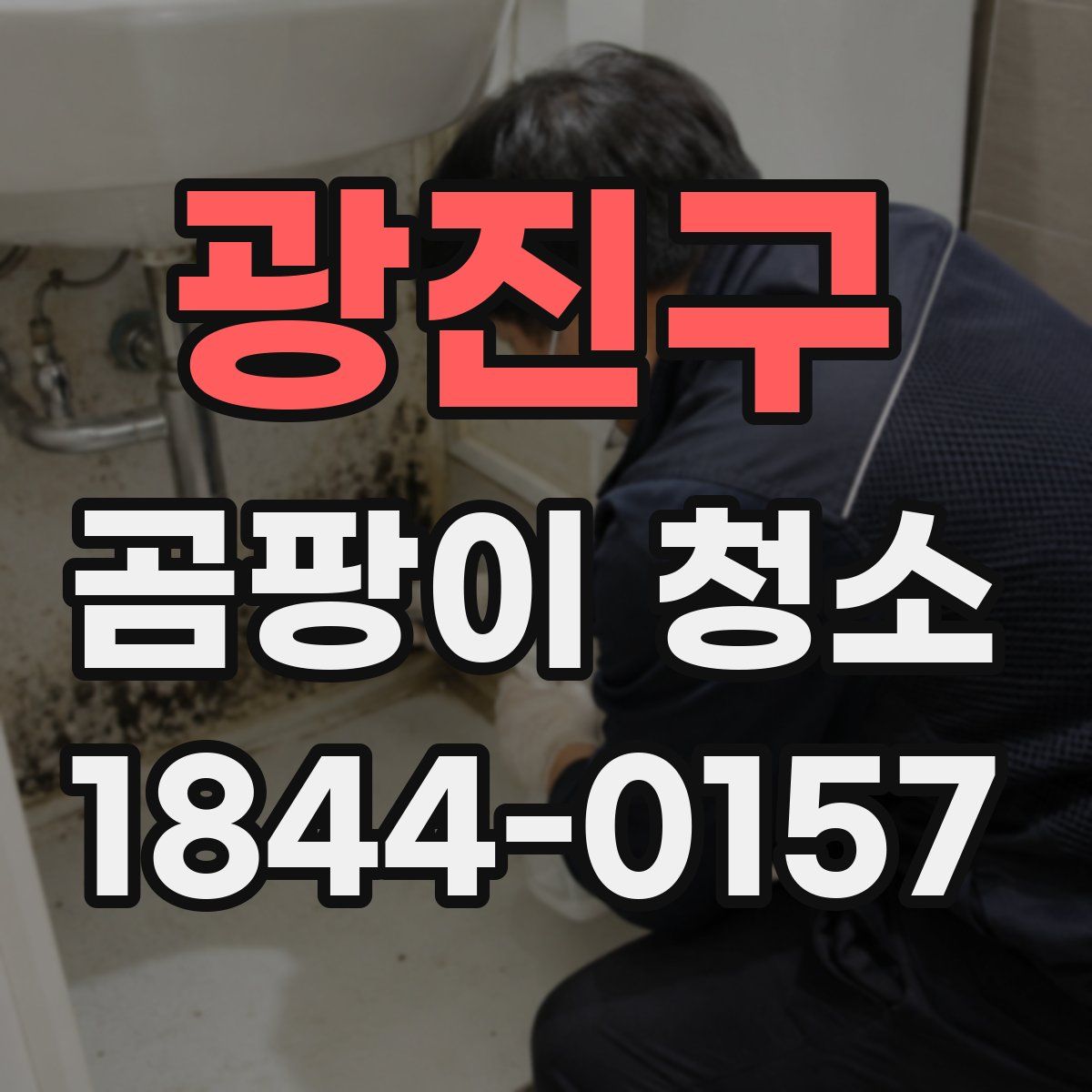 광진구 곰팡이 청소