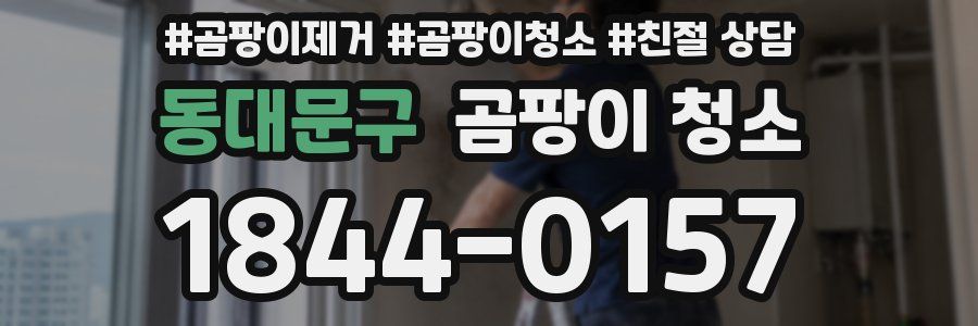동대문구 곰팡이 청소