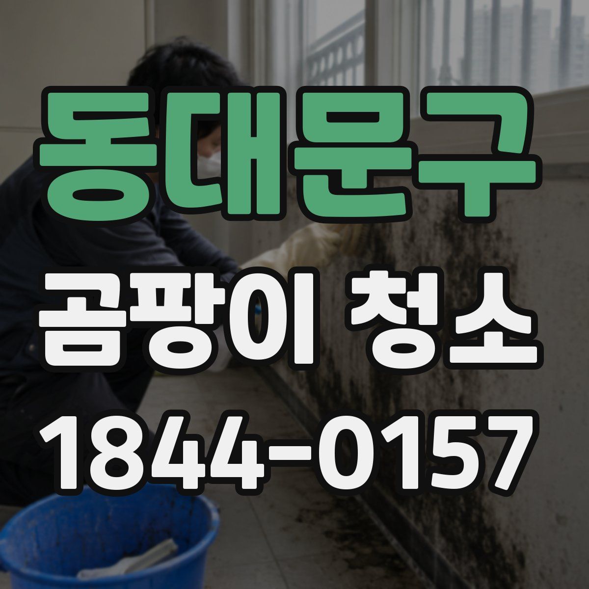 동대문구 곰팡이 청소