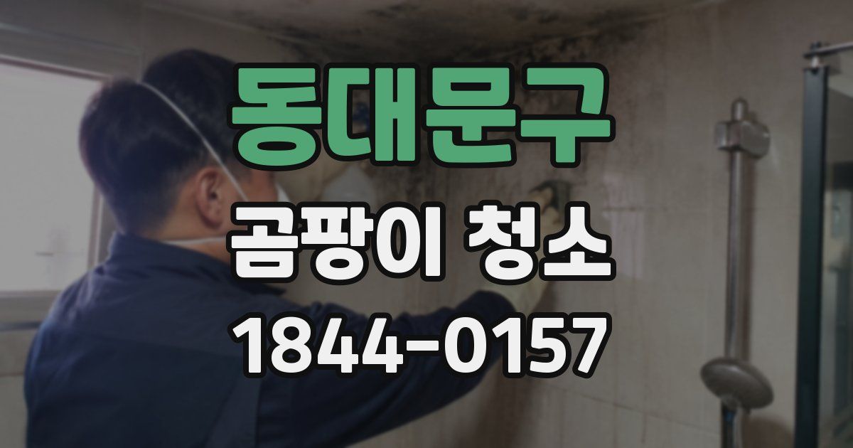 동대문구 곰팡이 청소
