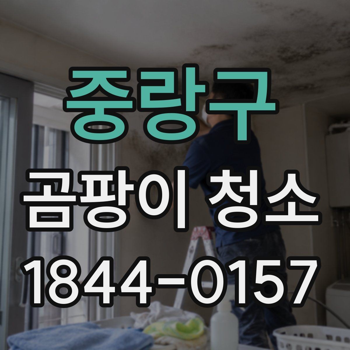 중랑구 곰팡이 청소 후 마감 상태 확인하는 법