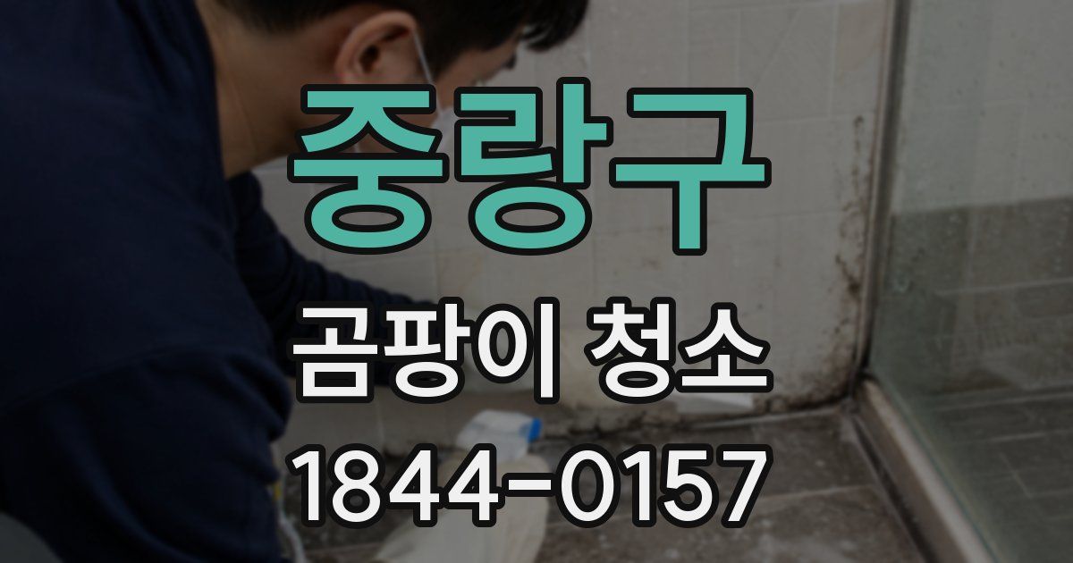 중랑구 곰팡이 청소