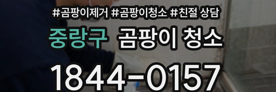 중랑구 곰팡이 청소