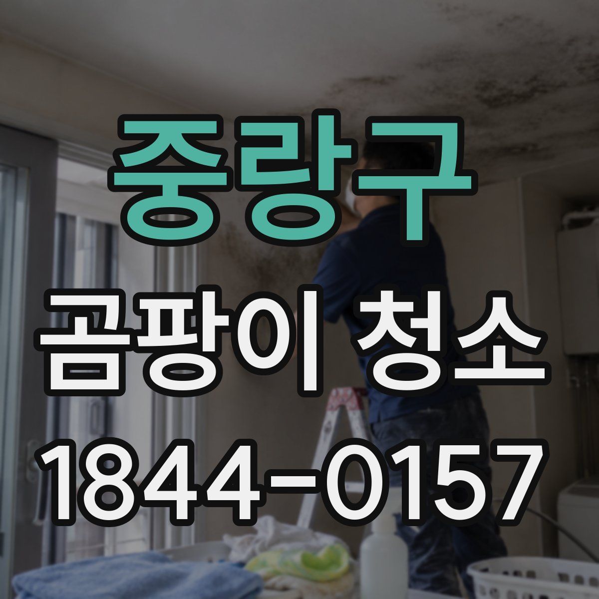 중랑구 곰팡이 청소